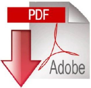 PDF